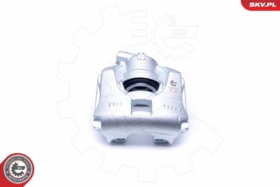 Brake Caliper 42SKV312