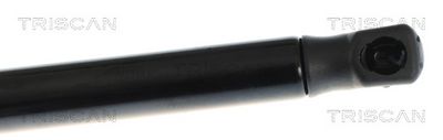 AMORTIZOR PORTBAGAJ TRISCAN 871011365 2