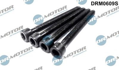 Seřizovací šroub, vstřikovací čerpadlo LIZARTE DRM0609S