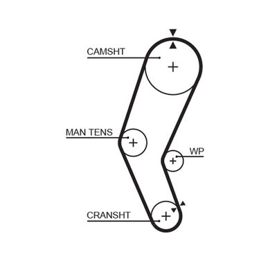 Timing Belt GATES 5272