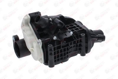 FLANSA LICHID RACIRE BIRTH 81801 6