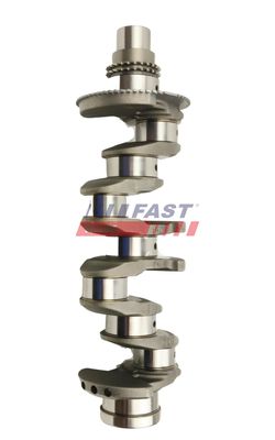 ARBORE COTIT FAST FT51705 2