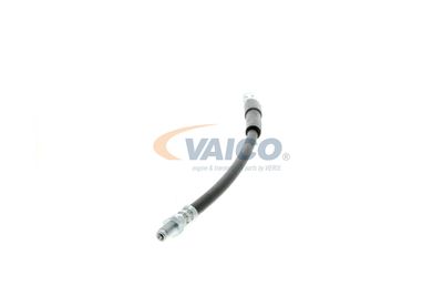 FURTUN FRANA VAICO V204104 16