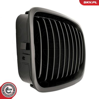 GRILA RADIATOR ESEN SKV 66SKV062 5