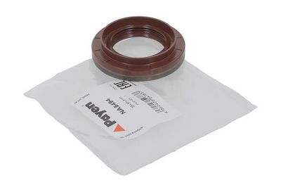 SIMERING DIFERENTIAL PAYEN NA5494 4