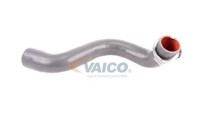 FURTUN EAR SUPRAALIMENTARE VAICO V460823 12