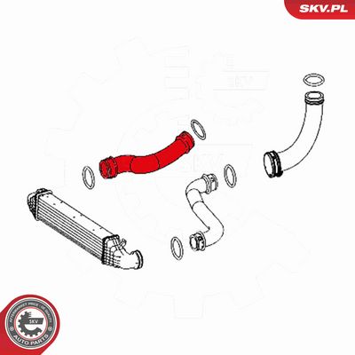 FURTUN EAR SUPRAALIMENTARE ESEN SKV 24SKV628 3