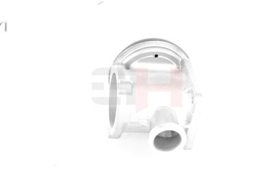 SUPAPA EGR GH GH731560 47