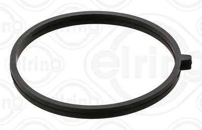 ETANșARE CARCASă CLAPETă