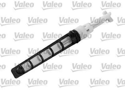 VALEO Einspritzdüse, Expansionsventil