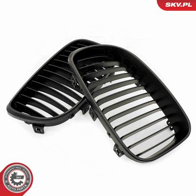 GRILA RADIATOR ESEN SKV 66SKV008 2