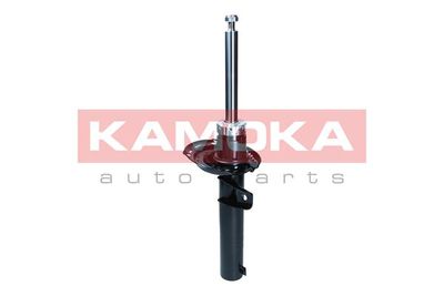 Shock Absorber 2000474