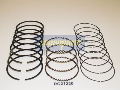SEGMENT PISTON