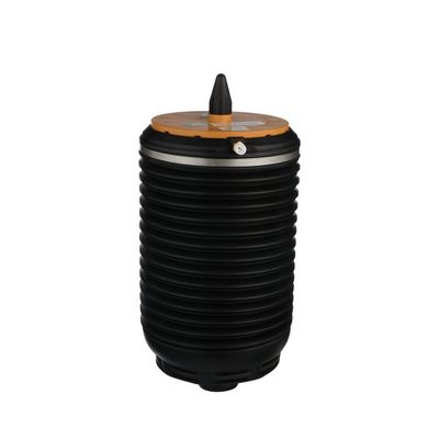 LUFTFEDER FAHRWERK Arnott A3891 27