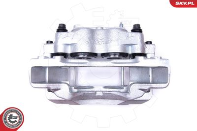 Brake Caliper 45SKV221