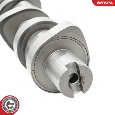 Bregasto vratilo ESEN SKV 80SKV005