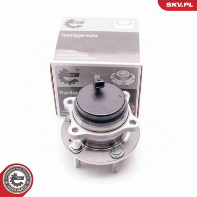 SET RULMENT ROATA ESEN SKV 29SKV126