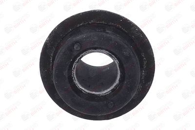 SUPORT TRAPEZ BIRTH 2008 1