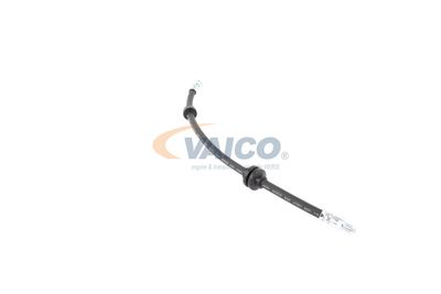 FURTUN FRANA VAICO V240328 34