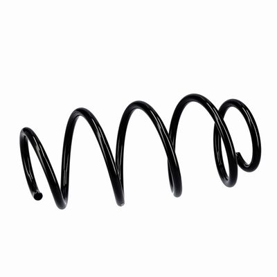 ARC SPIRAL EIBACH R10288 6