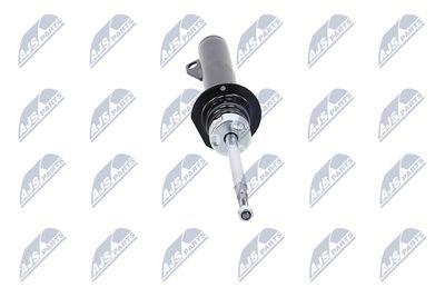 AMORTIZOR NTY AAR011 34