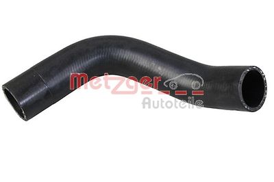 Radiator Hose 2421412