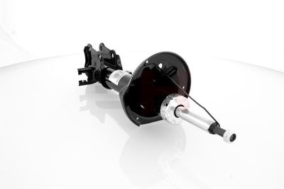 AMORTIZOR GH GH353422H 22