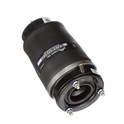 LUFTFEDER FAHRWERK Arnott A2934 68