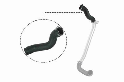 FURTUN EAR SUPRAALIMENTARE