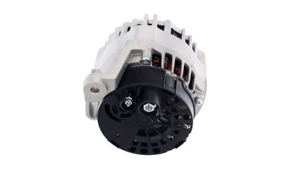 GENERATOR / ALTERNATOR REMANTE 011003000012R 29