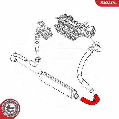 FURTUN EAR SUPRAALIMENTARE ESEN SKV 43SKV229 3