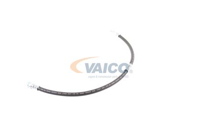 FURTUN FRANA VAICO V103077 29