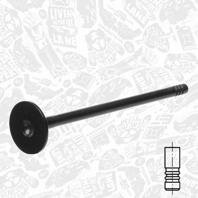 SUPAPA EVACUARE ET ENGINETEAM VE0170 1