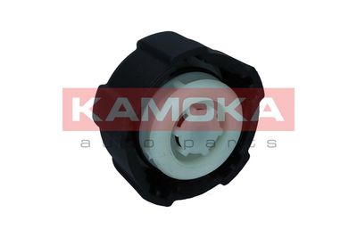 Cap, coolant tank 7729015