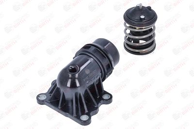 FLANSA LICHID RACIRE BIRTH 81102 11
