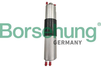 FILTRU COMBUSTIBIL Borsehung B10486