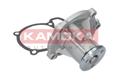 Water Pump, engine cooling T0218