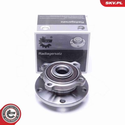 SET RULMENT ROATA ESEN SKV 29SKV372