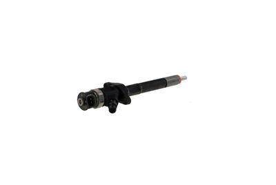 INJECTOR REMANTE 002003001132R 30