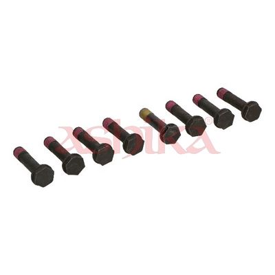 ASHIKA Schraube, Zahnkranzträger-Schwungrad