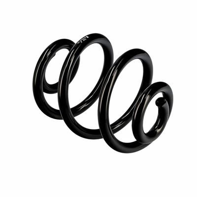 ARC SPIRAL EIBACH R10030 10