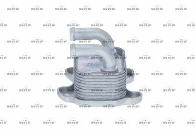 RADIATOR ULEI ULEI MOTOR NRF 31206 1