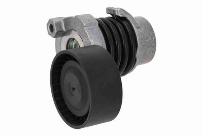 INTINZATOR CUREA CUREA DISTRIBUTIE