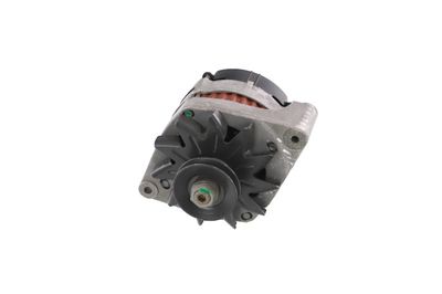 GENERATOR / ALTERNATOR REMANTE 011003000079R 64
