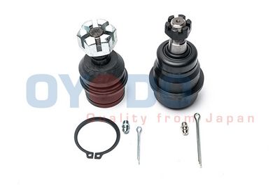 Šarnyras / girgždukas