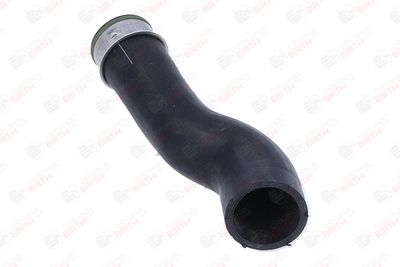 FURTUN EAR SUPRAALIMENTARE BIRTH 55859 3