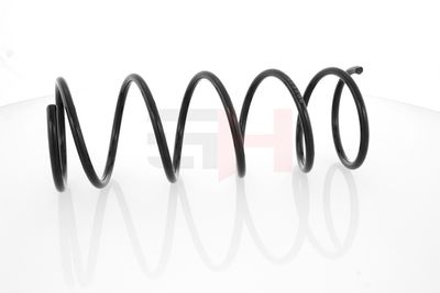 ARC SPIRAL GH GH223206 6