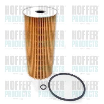 Масляный фильтр HOFFER 14003