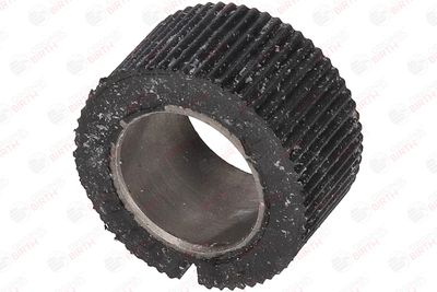 BUCSA ARBORE DE DIRECTIE BIRTH 4848 8