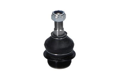 Kavo Parts Šarnyras / girgždukas